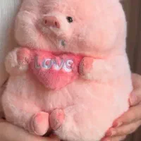 خوک لپی|اسباببازی|نیشابور, فردوسی جنوبی|دیوار