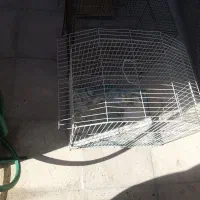 چند قفس پرنده