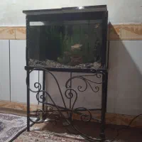 آکواریوم همراه ماهی