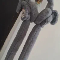 گوش گیر|کفش و لباس بچه|زنجان, |دیوار