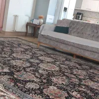 دوعدد فرش ۱۲ متری
