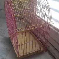 قفس