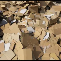 ضایعات کارتن