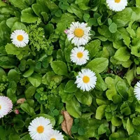 سمپاشی و ضدعفونی توسط مرکز سم پاشی