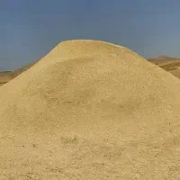 کاه  سفید جو و گندم درجه یک