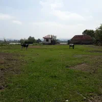 زمین با پروانه مرغداری|فروش دفتر صنعتی، کشاورزی، تجاری|کیاشهر, |دیوار