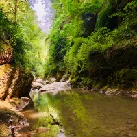 تور / سفر به شمال