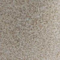 نیم دانه هاشمی سورتینگ