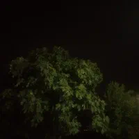 09350768686