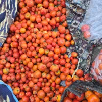 گوجه ربی|خوردنی و آشامیدنی|خنجین, |دیوار