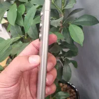 Samsung Galaxy S24 Ultra سامسونگ|موبایل|تهران, جردن|دیوار