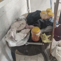 میز و صندلی عسلی نهارخوری|مبلمان خانگی و میز عسلی|قم, انسجام|دیوار