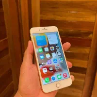 iphone 8 plus|موبایل|کاشان, زیدی|دیوار