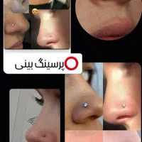پرسینگ و میکرودرمال تخصصی آموزش (کلینیک ،مسکن)|خدمات آرایشگری و زیبایی|کرمانشاه, |دیوار
