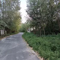 زمین متراژ ۵۰۰ متر روستایی جنب آسفالت|فروش زمین و ملک کلنگی|لاهیجان, گلستان|دیوار