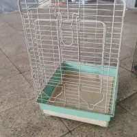 قفس قناری عروس هلندی