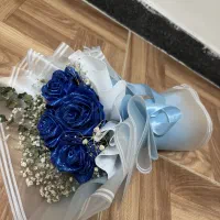 گل رز|گل و گیاه طبیعی|رشت, پل تالشان|دیوار