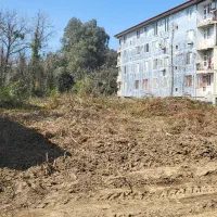 کارگر دیوار بلوکی بنا ملات