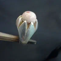 انگشتر عقیق زیرزبانی،طوق دار|کلکسیون اشیاء عتیقه|کاشمر, |دیوار