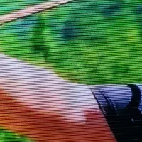 تلوزیون الجی ۵۵  67100 پنل لازم داره