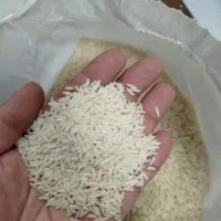 برنج هاشمی