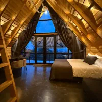 نظافت و شستشو