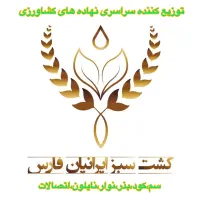 مدیر داخلی