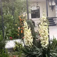 اجاره ویلادوطبقه با استخر سرپوشیده آبگرم امامزاده|اجارهٔ کوتاه‌مدت ویلا و باغ|ارومیه, |دیوار