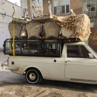 وانت حمل بار