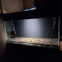 آکواریوم کامل و تکی