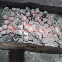 زغال کبابی|عمده‌فروشی|بیرجند, |دیوار