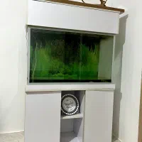 شیشه آکواریوم با تجهیزات ۸میلیون