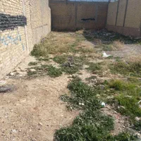 فروش زمین ۱۹۶ متری جمال آباد طرح هادی 14متری ولایت|فروش زمین و ملک کلنگی|شیراز, میانرود|دیوار