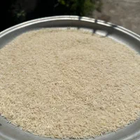 فروش برنج هاشمی درجه یک