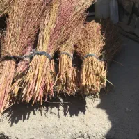 جارو محلی درجه یک|لوازم نظافت|زاغه, |دیوار