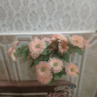 گل مصنوعی|گل مصنوعی|سبزوار, شرق کال میانی|دیوار