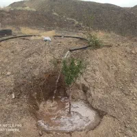 باغ روبروی هویزار ۱۸۰۰ متر|فروش دفتر صنعتی، کشاورزی، تجاری|سبزوار, قصبه شرقی|دیوار