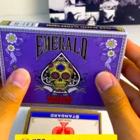 بلک فرایدی پاسور|حراج|تربتحیدریه, منظر|دیوار