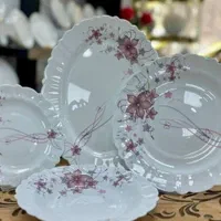 تعدادی آرکوپال ۶ نفره فرانسه نونو داخل پک وکارتن