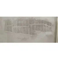 زمین-تپه-آفتابگردون