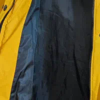 کاپشن بارانی خردلی زرد|لباس|تهران, درختی|دیوار