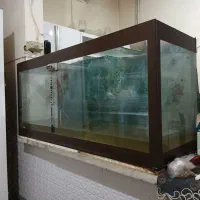 بخاری اکواریوم گل لوازم اکواریوم