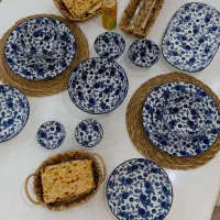 سرویس پذیرایی شکوفه آبی پاشاهوم