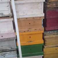 کندو عسل و طبق