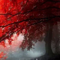 همکار خانم جهت تبلیغات ویدئویی برای فضای مجازی