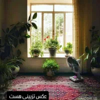 نگهداری سالمند با خونه