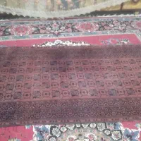 قلی دستباف|فرش|زاهدان, |دیوار