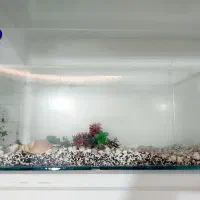 آکواریوم بزرگ