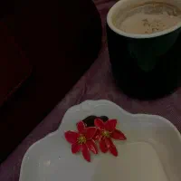 بدلیجات تخفیف خورده|بدلیجات|گنبد کاووس, |دیوار