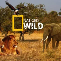 نصب آنتن مرکزی ثابت و گردون|خدمات پیشه و مهارت|هشتگرد, شهرک ولیعصر (مصلی)|دیوار